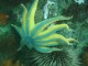 Thumbs/tn_SanJuan 019.jpg